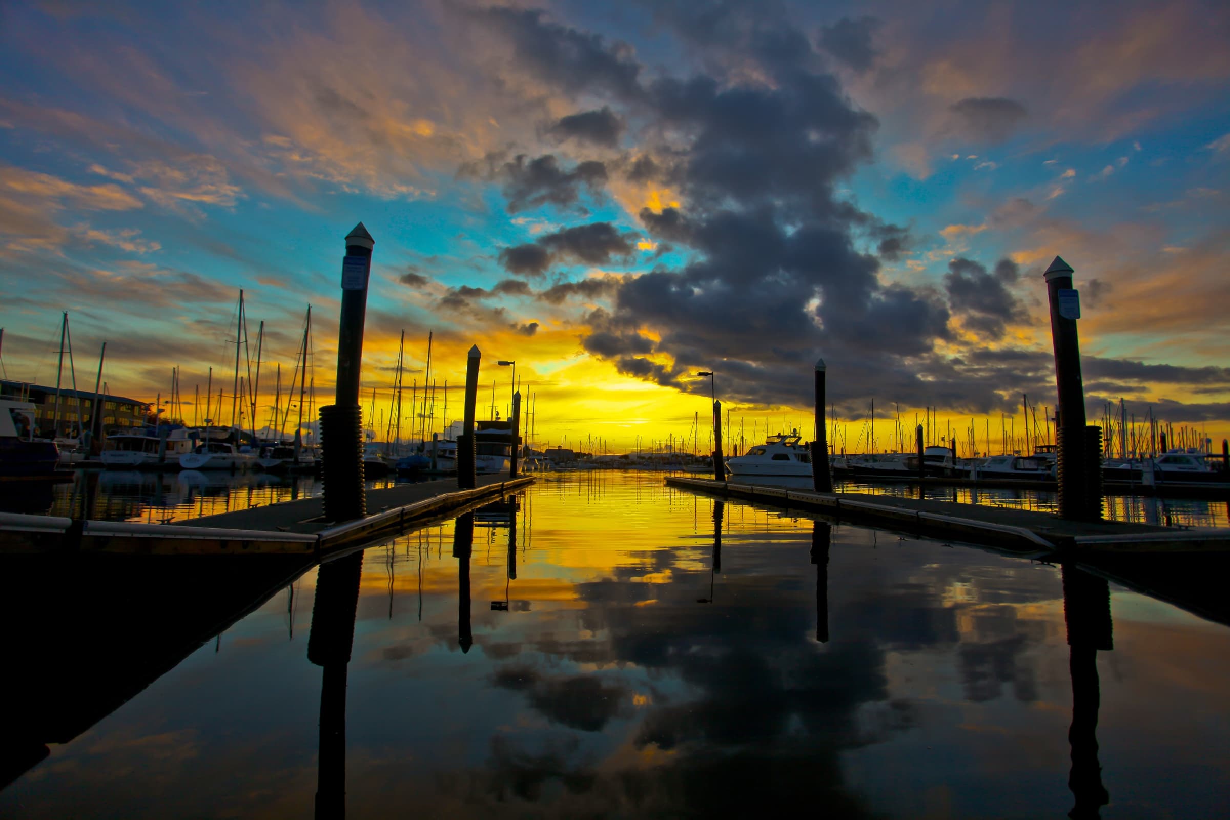 Squalicum Harbor marina in Bellingham at golden-hour sunset, sailboat masts mirrored in still water