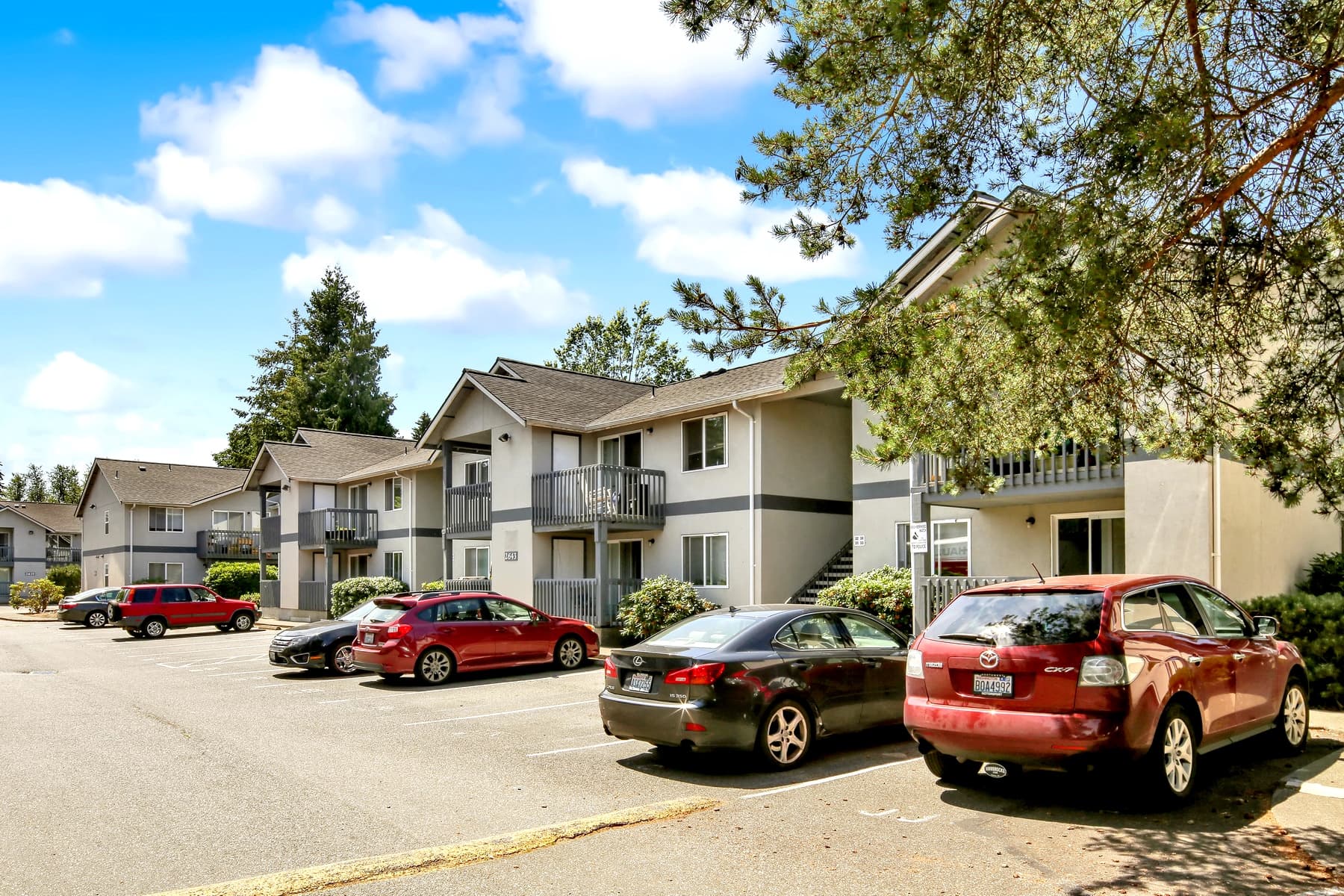 Maplewood Place Apartments photo 1